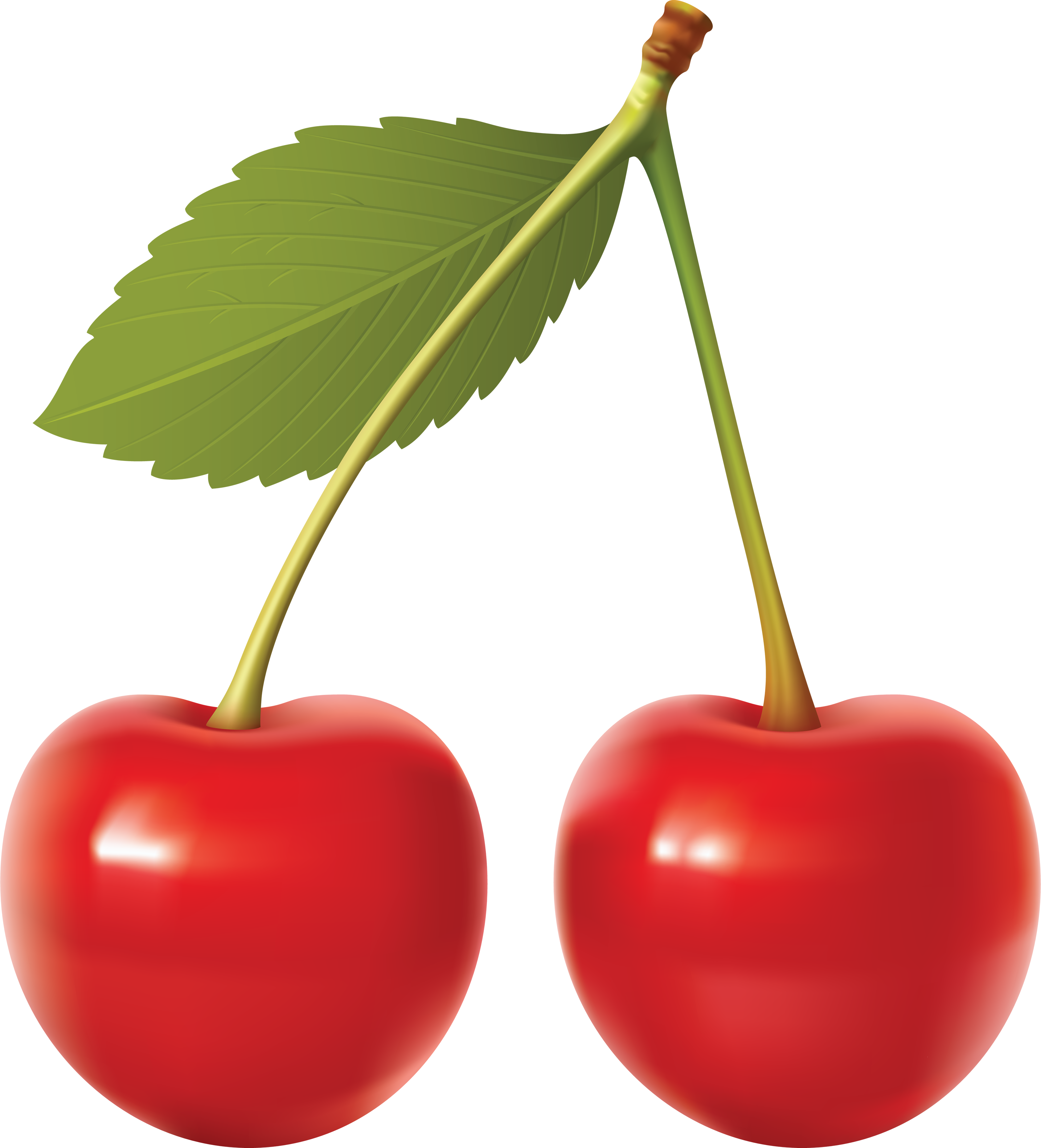 Cartoon cherry clipart fruit clip art