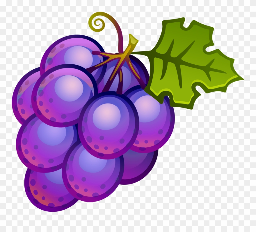 Grapes clipart grapes.