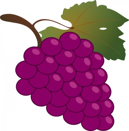 Free Grapes Pictures, Download Free Clip Art, Free Clip Art