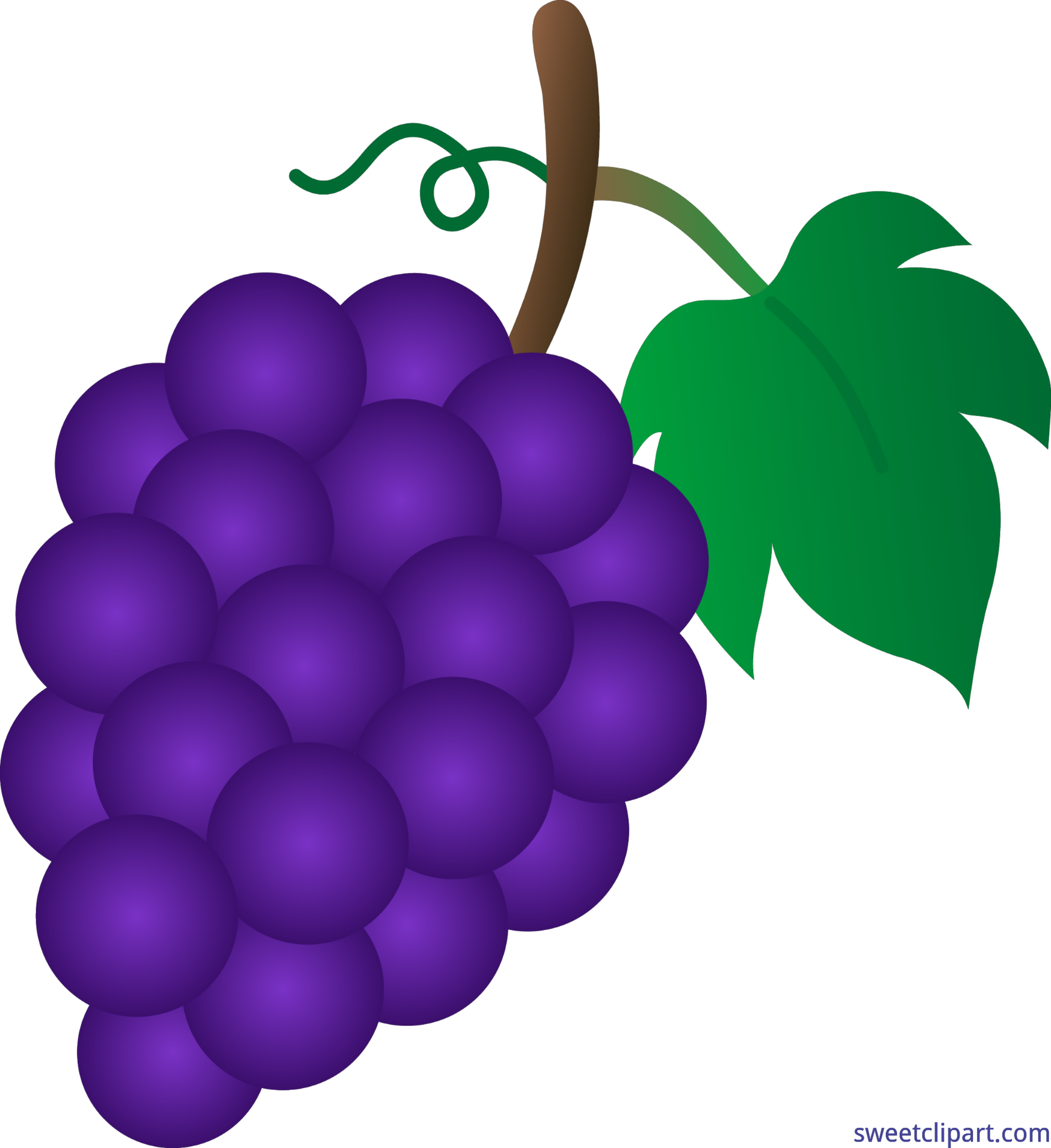 Grape clipart fruit.