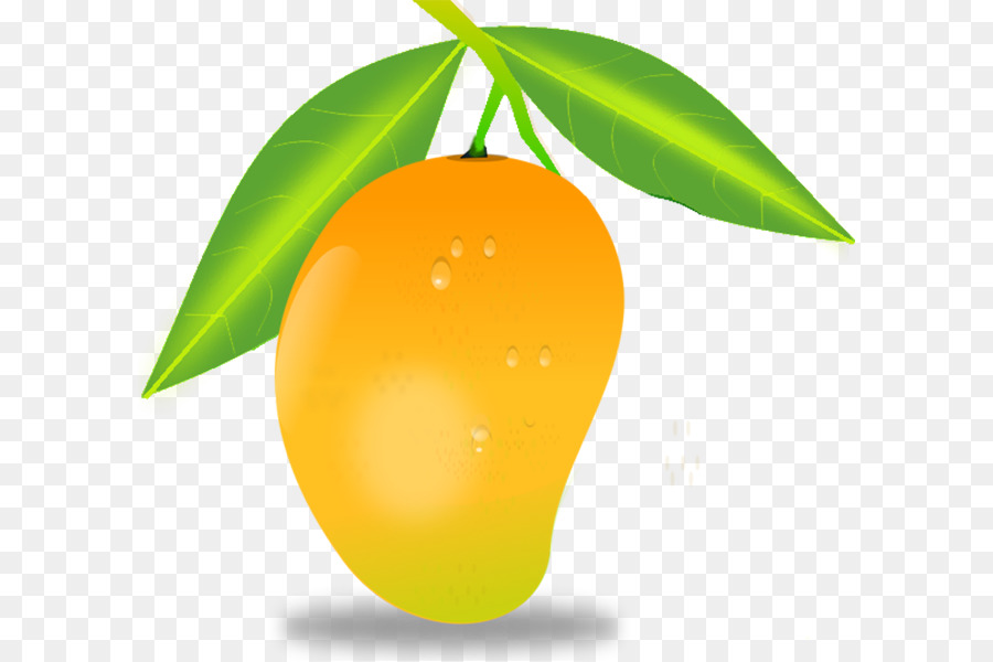 Mango Leaf clipart