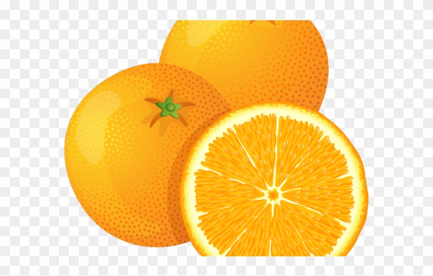 Orange Fruit Clipart Orange Object