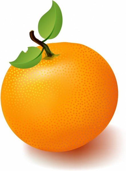 Orange fruit clipart