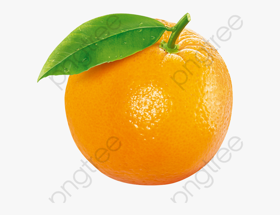 Orange Png Clipart