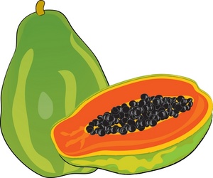 Free Pawpaw Cliparts, Download Free Clip Art, Free Clip Art