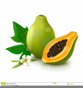 Clipart Papaya Fruit