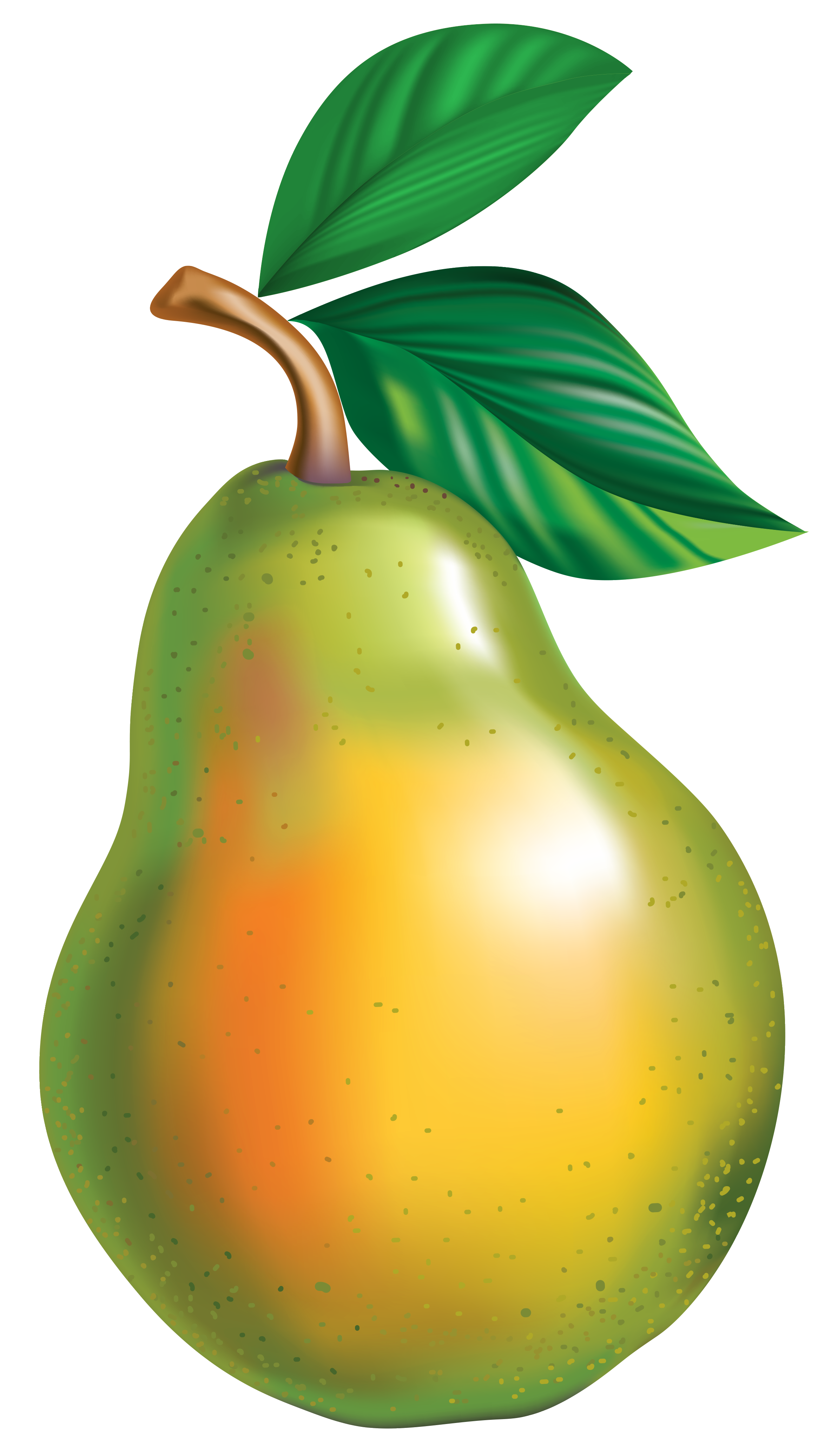 Pear png clipart.