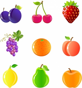 Fruit free vector download