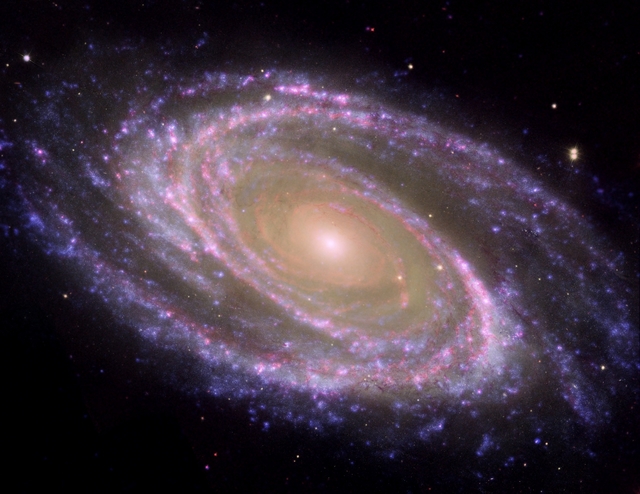 Free spiral galaxy.