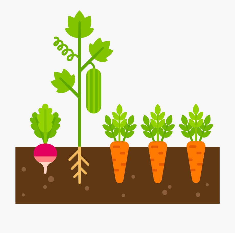 Caring Clipart Care Plant
