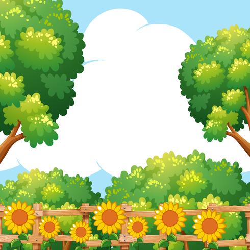 Background scene with sunflowers in garden