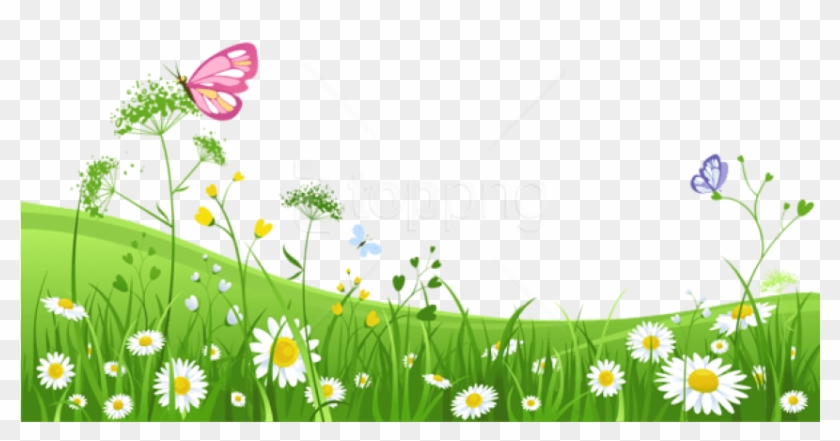Free Png Download Grass With Butterfliespicture Png