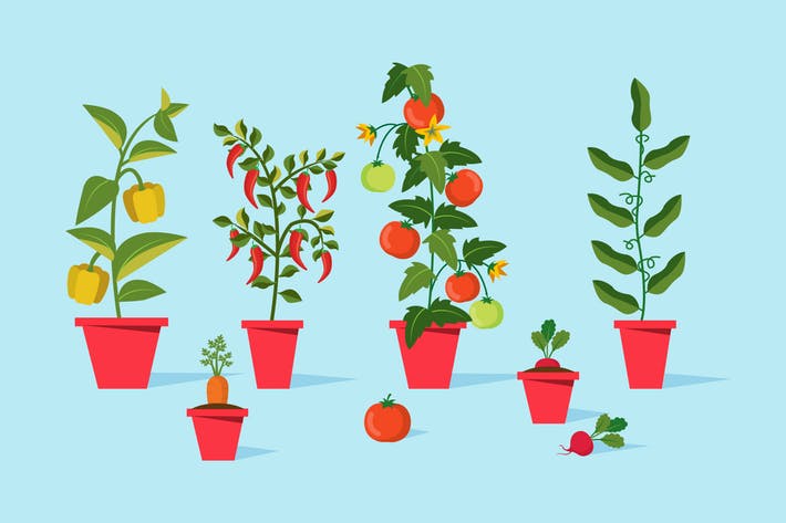 Home Garden Clipart by Jumsoft on Envato Elements