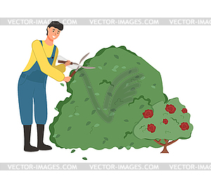 Farming Man Gardening Person Cutting Bushes