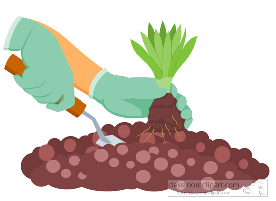 Planting small plant in soil gardening clipart