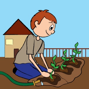 Teenage boy planting.