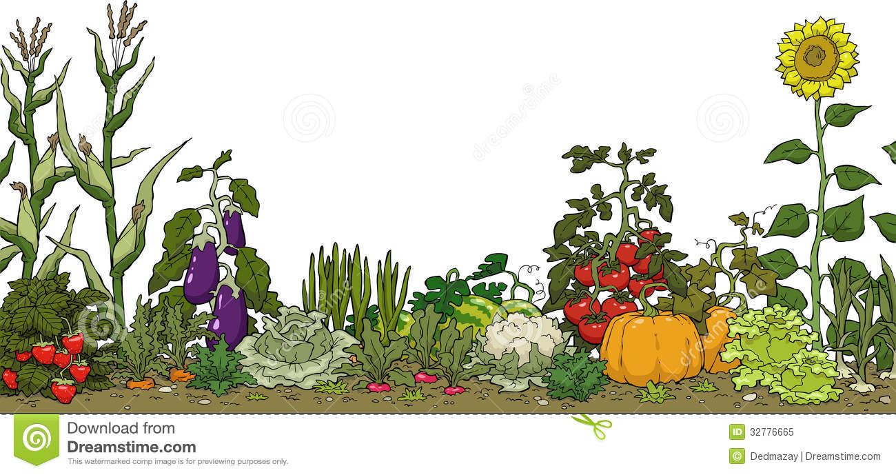 Vegetable garden graphic.