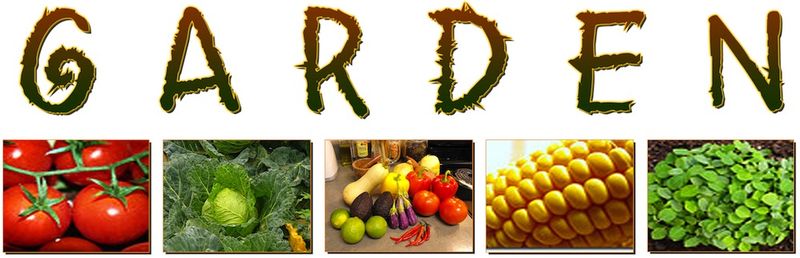 Free Community Garden Cliparts, Download Free Clip Art, Free