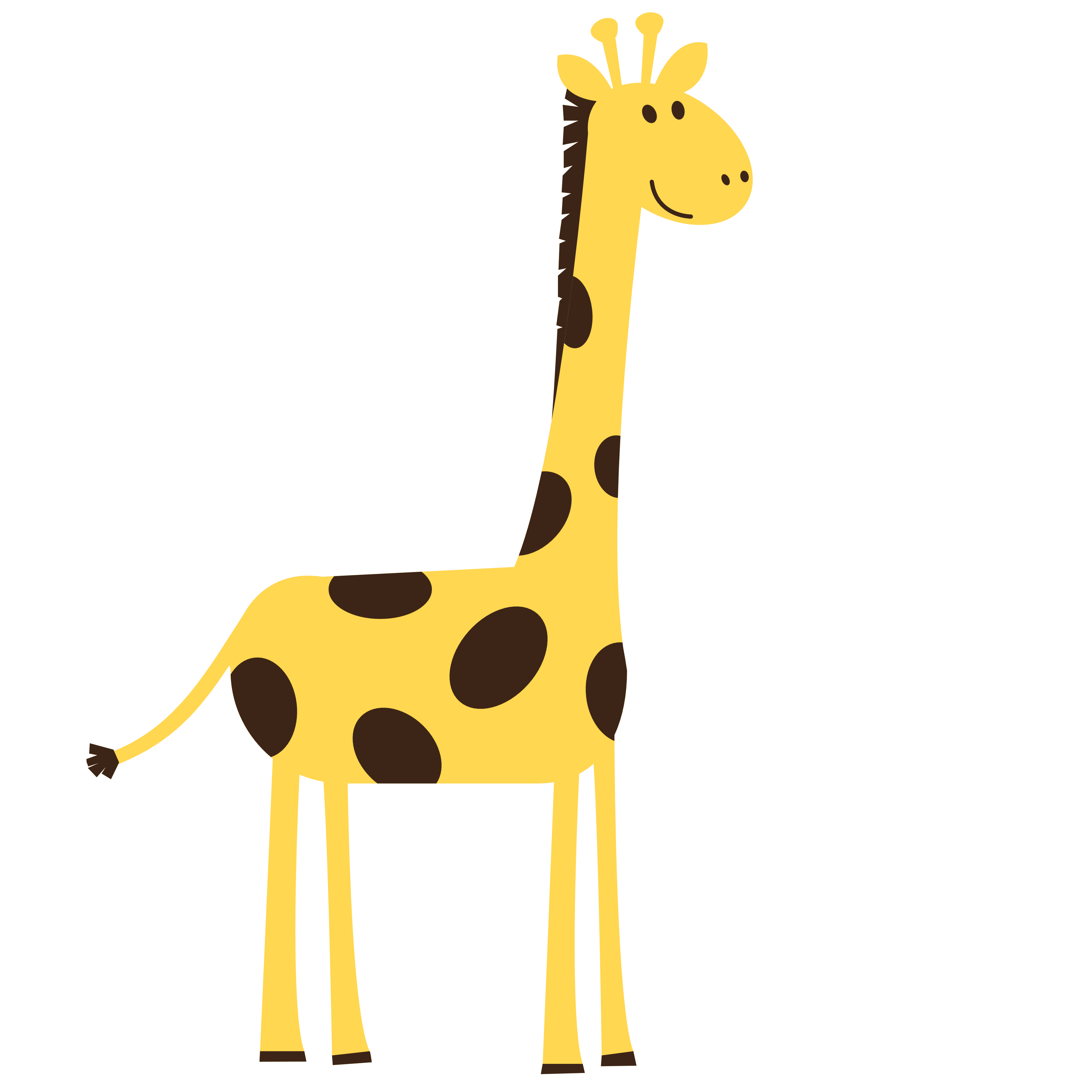 Giraffe baby shower.