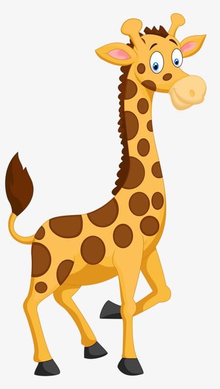 Animal giraffe png.