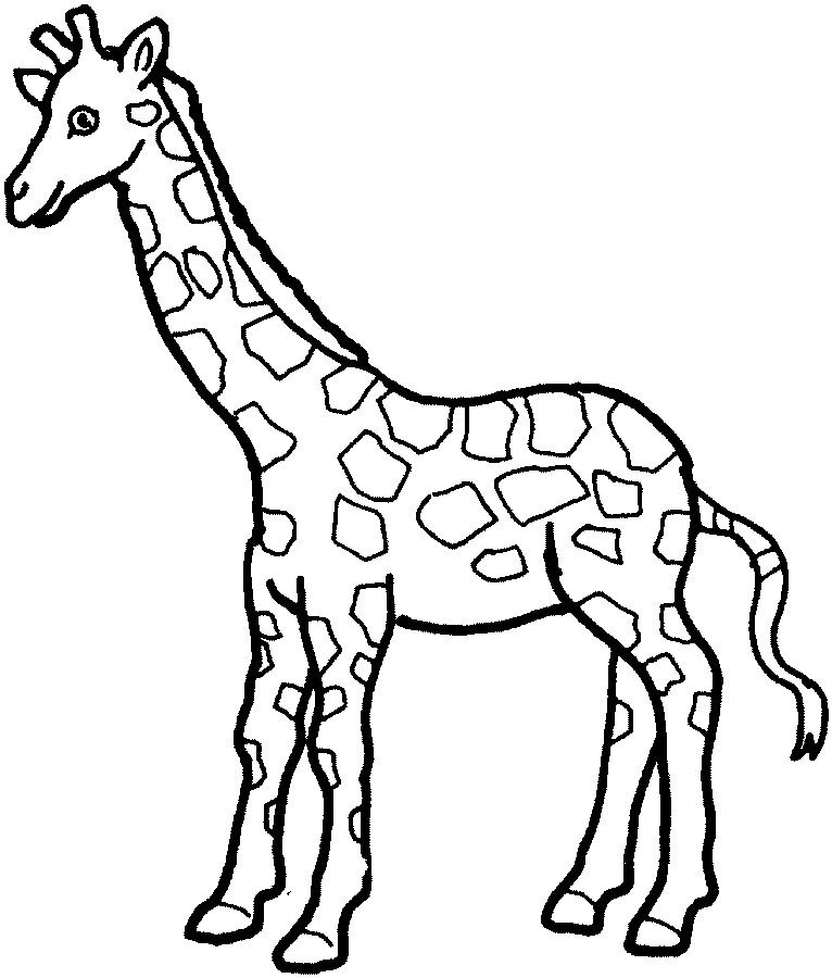 Simple giraffe outline.