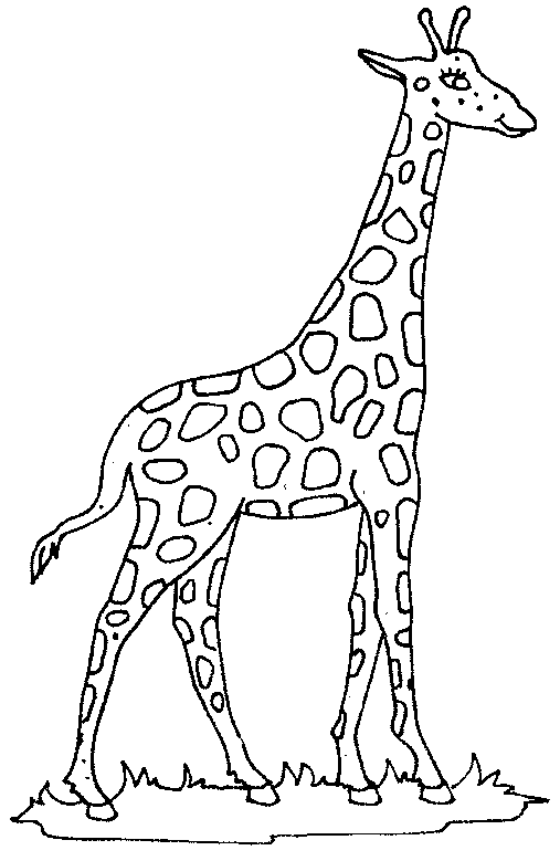 Coloring giraffe picture