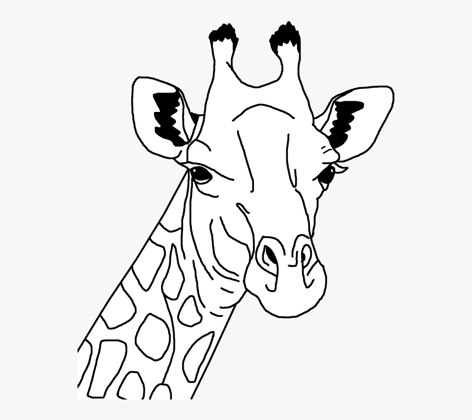 Clipart giraffe face.
