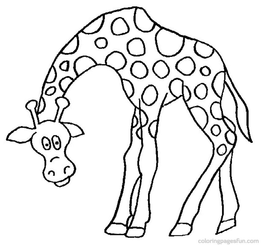 Giraffe line drawing.