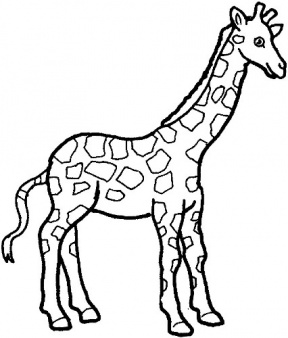 Giraffe clipart outline