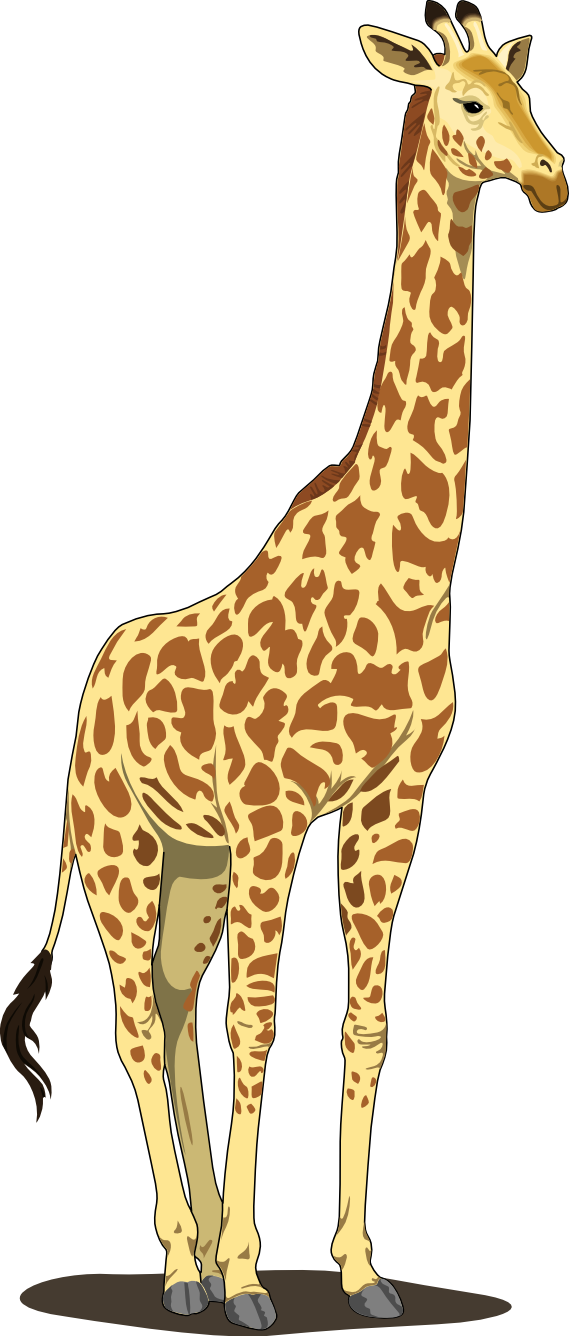 Free free giraffe.