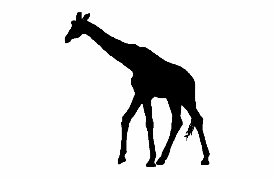 Giraffe vector silhouettes.