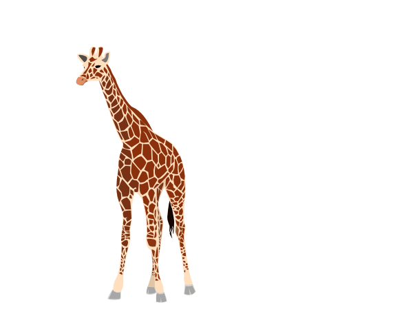 Free vector giraffe.