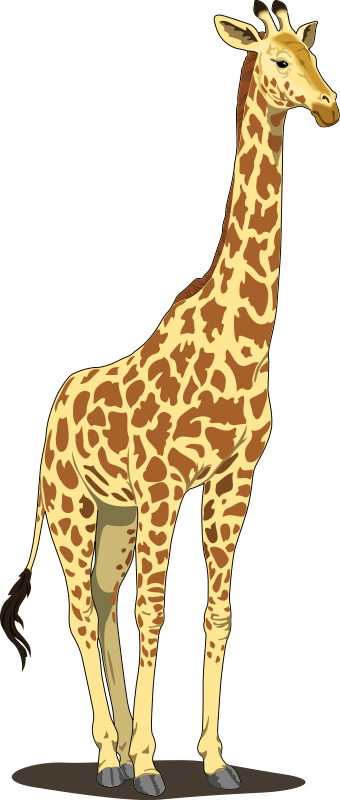 Giraffe free vector.