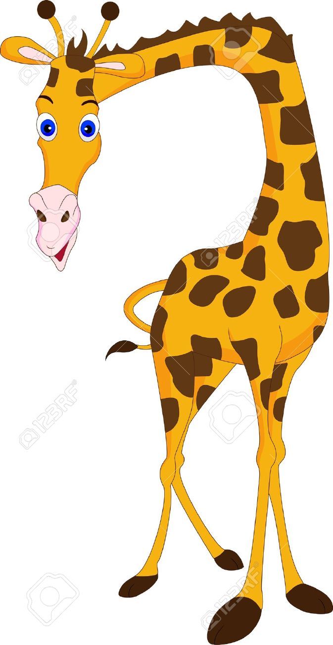 Giraffe stock vector.