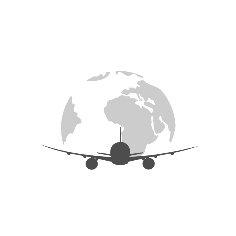 Airplane logo travel.