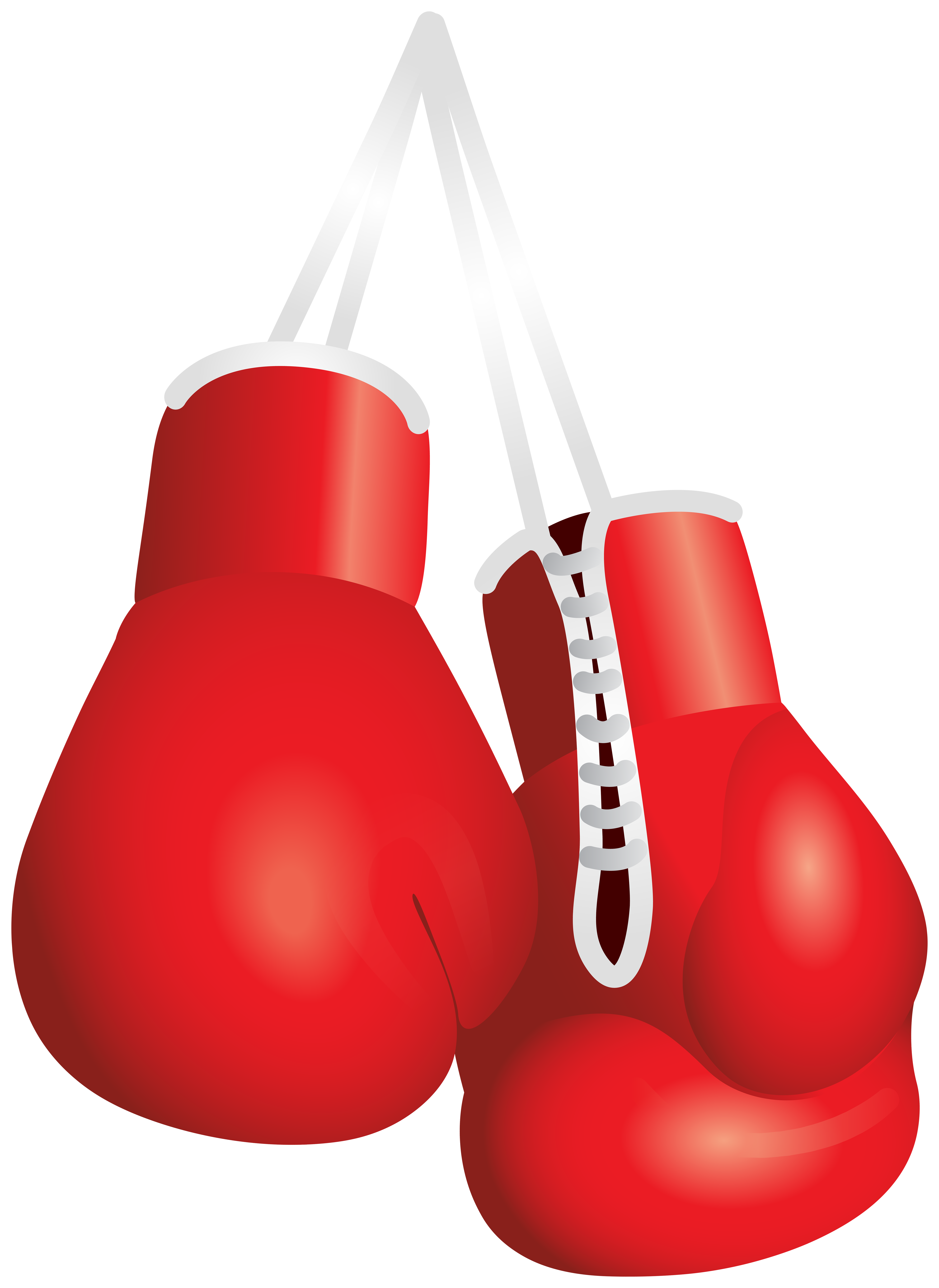 Boxing gloves png.