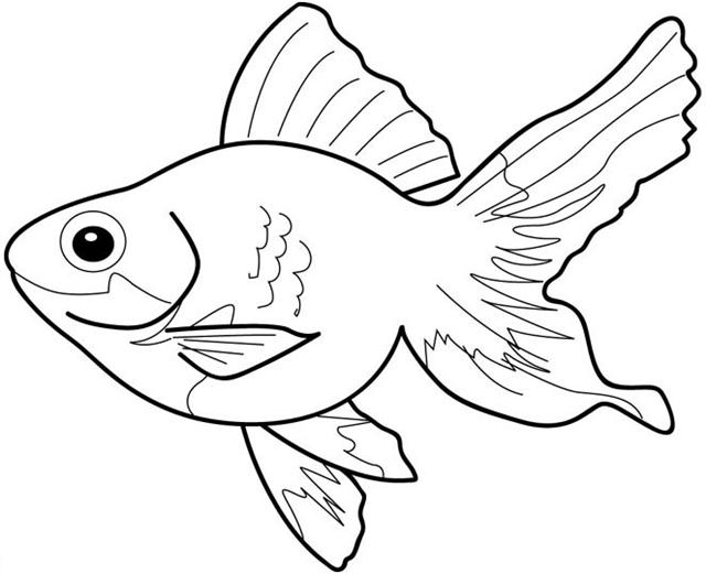 Goldfish clipart black and white
