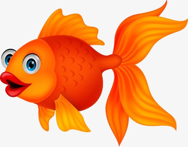 Goldfish PNG, Clipart, Animation, Cartoon, Goldfish