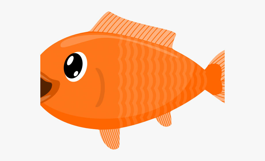 Goldfish clipart isda.