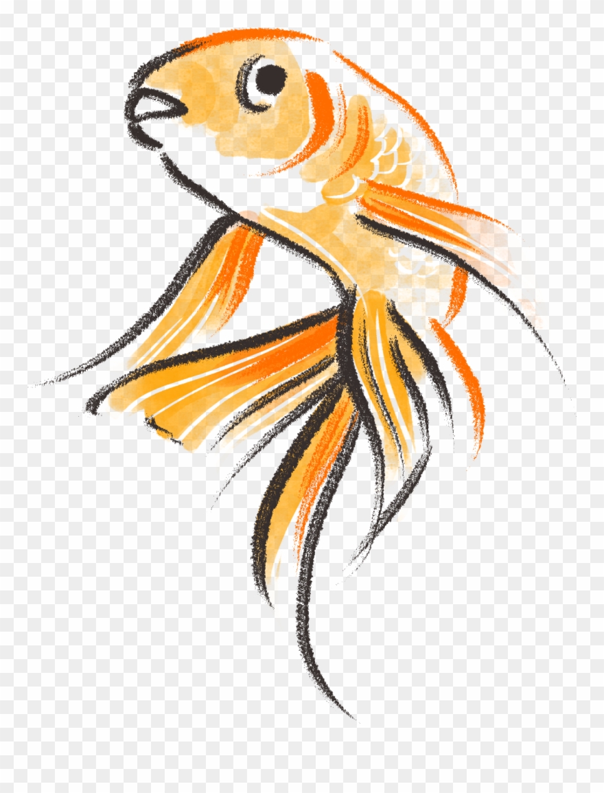 Drawn goldfish cute.