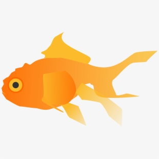 goldfish clipart fancy