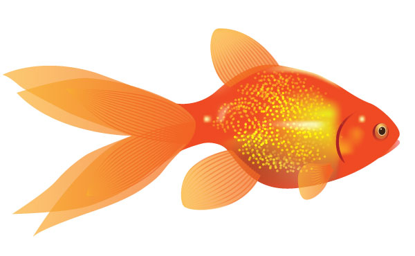 Best goldfish clipart.