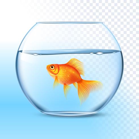 Goldfish water bowl.