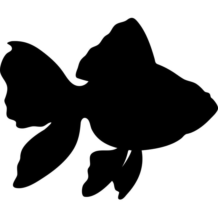 Starfish silhouette silhouette.