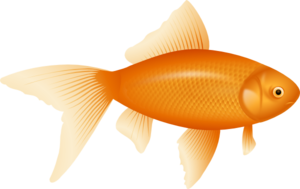 Goldfish clip art