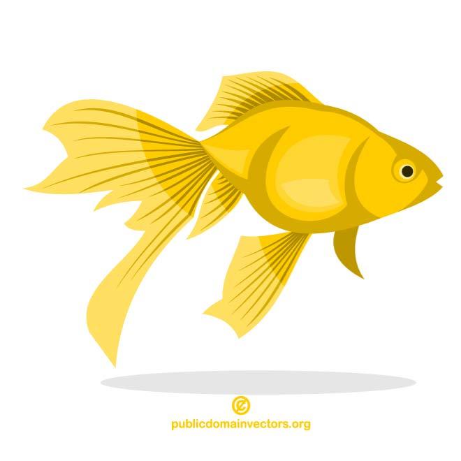 Goldfish vector clip.