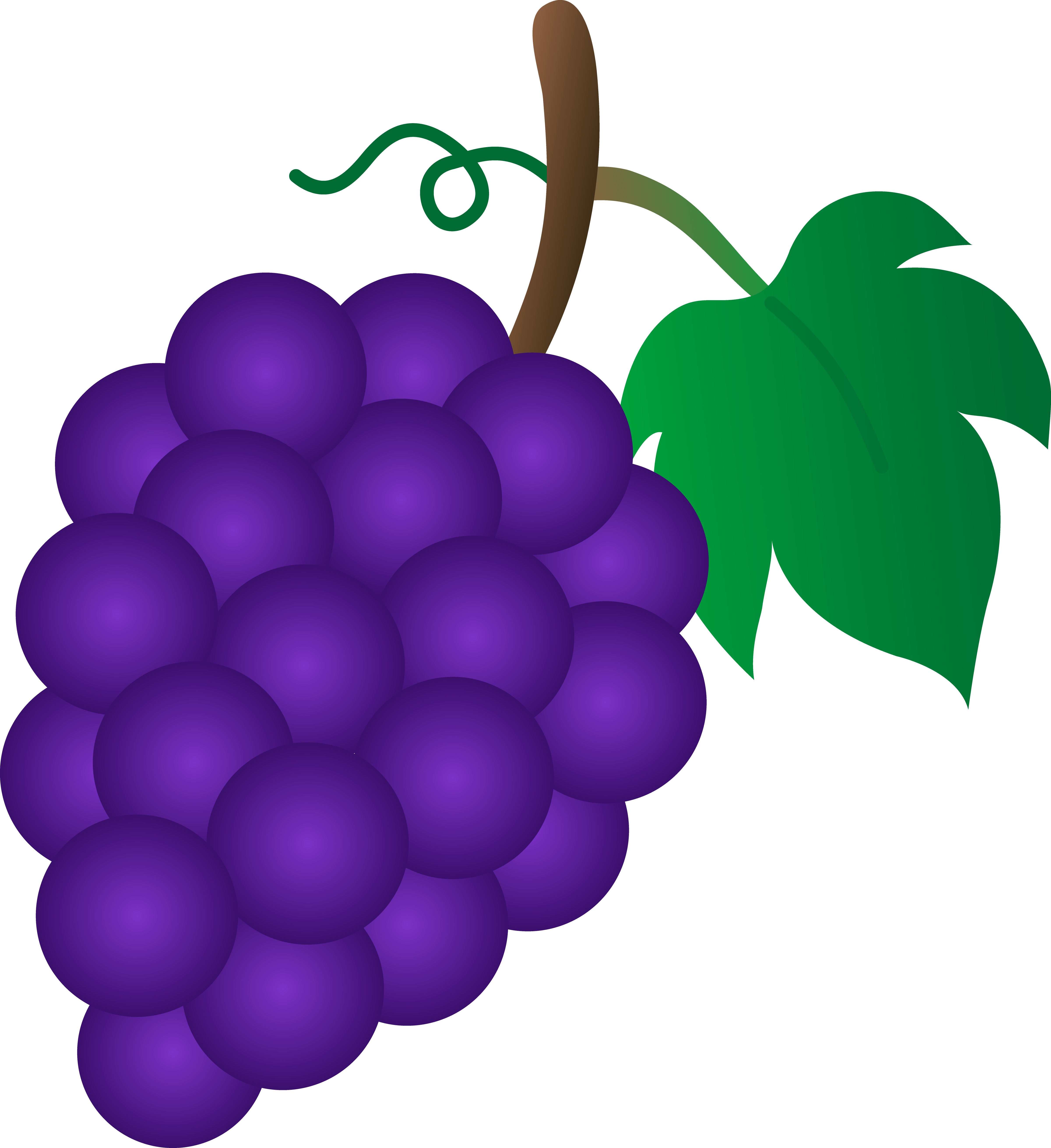 Free art grapes.