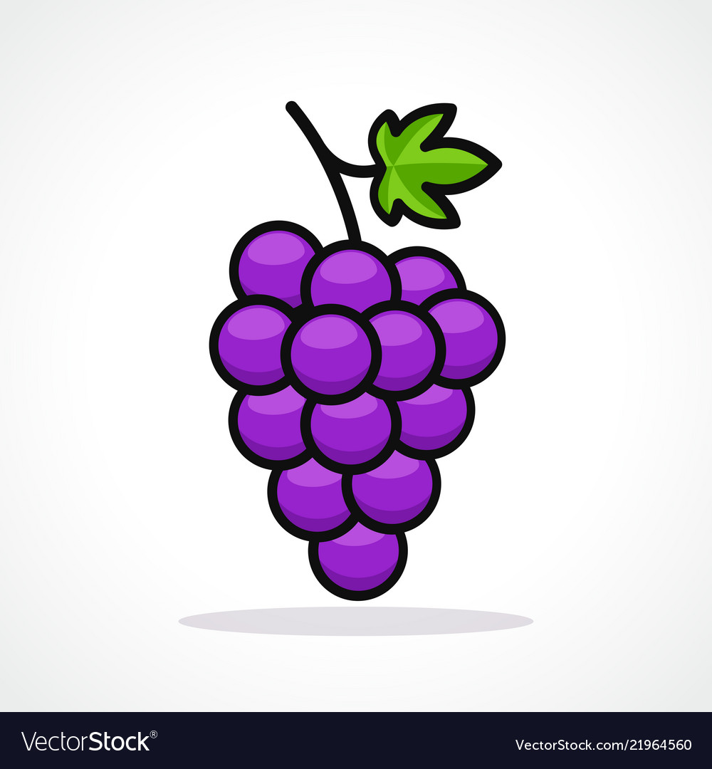 Grapes design icon.
