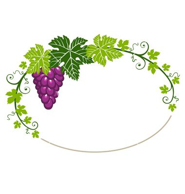 Vector grapes leaves borders drawing