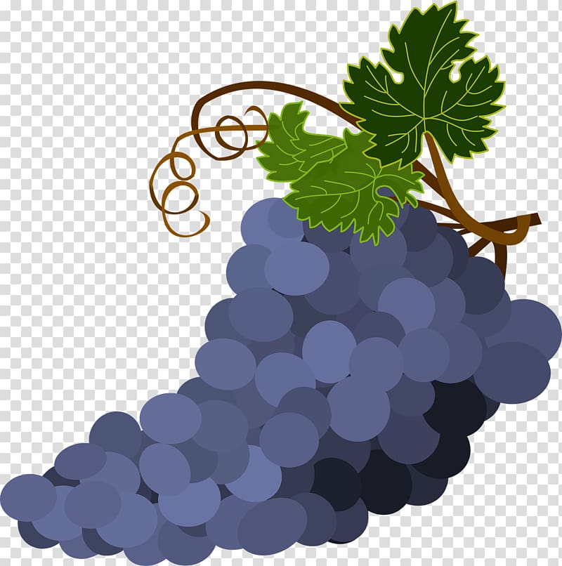 Wine common grape.
